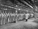 Rows of Meat in Storage at Bronx Warehouse Fotografie-Druck von Herbert Gehr