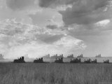 Wheat Harvest Time with Two Lines of Combines Lining Up in Field with Threatening Sky Photographie par Joe Scherschel