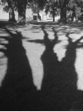 Shadows of Trees in the Garden of the Doubleday Plantation Premium Photographic Print by Alfred Eisenstaedt Shadows of Trees in the Garden of the Doubleday Plantation Premium Photographic Print by Alfred Eisenstaedt