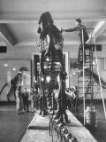 Teacher Introducing a Tyrannosaur Rex to Her Class While a Museum Attendant Cleans the Bones Premium Photographic Print by Jack Birns