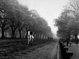 Rider on Horseback in Hyde Park Photographie par Bill Brandt