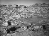 Proposed National Park Site Premium Photographic Print by J. R. Eyerman