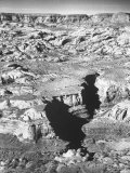 Southwestern Area of Proposed National Park Site Premium Photographic Print by J. R. Eyerman