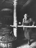 Man Using Old Wine Press at Vaux En Beauiplais Vineyard Photographic Print by Carlo Bavagnoli
