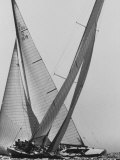 Trial Race For the America's Cup Photographie par George Silk
