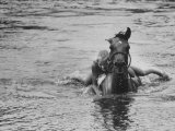 Sydney Hoyle Floundering on Back of Horse in Water at Full Cry Farm Photographic Print by Art Rickerby