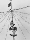 Travancore Cochin Elections, with Communist Workers Fixing Loudspeaker on a Stripped Coconut Tree Premium Photographic Print by James Burke