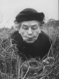 Mrs. Margaret Morse Nice Lying Flat in Grass to Study Nest of Baby Field Sparrows Photographic Print by Al Fenn