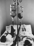 View of Children Receiving Blood Transfusions Premium Photographic Print by Bob Gomel