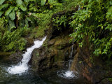 Two Small Waterfalls Flow into Fresh Water Pond in a Rain Forest Photographic Print by Todd Gipstein
