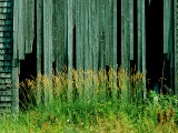 Close View of the Side of a Dilapidated Barn Photographic Print by James P. Blair