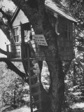 Replica of House in Winnie the Pooh Used For Children's Playhouse Premium fotografisk trykk av Jon Brenneis Replica of House in Winnie the Pooh Used For Children's Playhouse Premium fotografisk trykk av Jon Brenneis