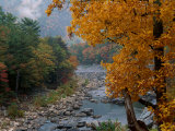 Autumn View Fotografie-Druck