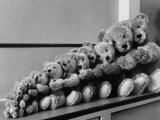 View of Some Teddy Bears Photographic Print by Michael Rougier