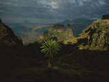 A View of the Ethiopian Highland Habitat of the Gelada Photographic Print by Michael Nichols