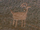 Anasazi Petroglyph Photographic Print by Walter Meayers Edwards