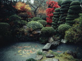 View of a Private Garden in Hagi Photographic Print by Sam Abell