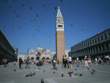 Saint Marks Square and its Famous Pigeons Photographic Print by Taylor S. Kennedy