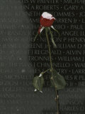 A Snow Dusted Rose Speaks of Lasting Love at a War Memorial Photographie par Karen Kasmauski