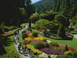 People Strolling Among Flowers of the Sunken Garden, Butchart Gardens Photographic Print by Todd Gipstein