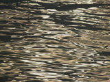 Sunlight reflects off the rippling water Lámina fotográfica por Michael Melford