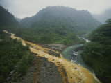 Soil Erosion in a Rain Forest, Costa Rica Photographic Print by Michael Melford