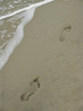 Footprints on the beach Lámina fotográfica por Al Petteway Footprints on the beach Lámina fotográfica por Al Petteway