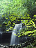 L'eau tombe en cascade d'une formation rocheuse Photographie par Bill Curtsinger