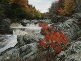 Un petit cours d'eau sillonne des arbres aux couleurs automnales Photographie par Raymond Gehman