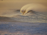 Sunlight Reflects off Surf at Sunrise Photographie par Rich Reid