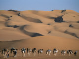 A Camel Caravan Crosses a Landscape of Sculpted Sand Dunes Photographie par Peter Carsten