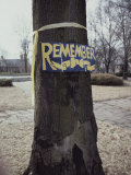 A Symbolic Yellow Ribbon and a Sign Saying Remember on a Tree Photographic Print by Stephen St. John