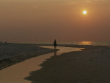 A Beachcomber on an Alabama Beach at Sunrise Photographic Print by Medford Taylor