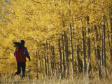 Woman Running in Field by Aspen Trees Fotografisk trykk av Dugald Bremner