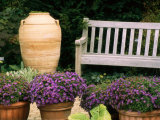 Potted Plants and a Garden Bench in the Chicago Botanic Garden Photographic Print by Paul Damien