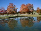 Trees in Fall Foliage Reflected in a Virginia Pond Photographic Print