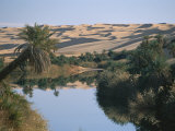 The Photographer Discovers an Oasis in the Middle of the Sahara Desert Photographie par Peter Carsten