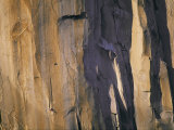 Climbers on El Capitan Photographic Print by Paul Nicklen