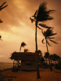 Un orage ravage les palmiers et les cabanes de Glovers Reef Photographie par Bill Hatcher