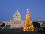 View of the National Christmas Tree Standing Before the Capitol Photographic Print by Richard Nowitz