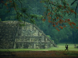 A Monkey Who Lives at the Site Walks Past a Mayan Ruin at Copan Photographic Print by Kenneth Garrett