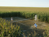 A Game of Tennis on a Court Carved from a Cornfield Photographic Print by Joel Sartore