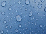 A Close-up of Water Droplets on a Surface Photographic Print by Todd Gipstein