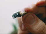 Extreme Close-up of a Marijuana Butt Held Between Two Fingers Photographie par Ira Block