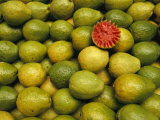 Display of Guavas in an Open Air Market on Copacobana Beach Photographic Print by Richard Nowitz