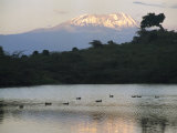 Mount Kilimanjaro Rises above One of Tanzanias Momela Lakes Fotografisk tryk af Richard Nowitz