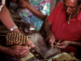 A Man Bundles up a Bunch of Finished Cigars in a Factory in Trinidad, Cuba, Trinidad, Cuba Photographie par Taylor S. Kennedy