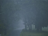 Rain Storm Photographic Print by Brian Gordon Green