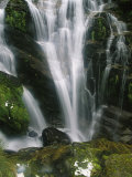 Small Waterfall Near the Milford Track on New Zealands South Island Photographic Print by Mark Cosslett