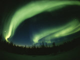 Brilliant Display of Auroral Lights Photographie par Paul Nicklen